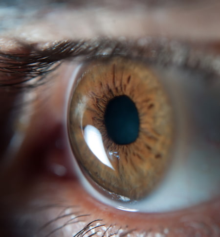 extreme close up of eye