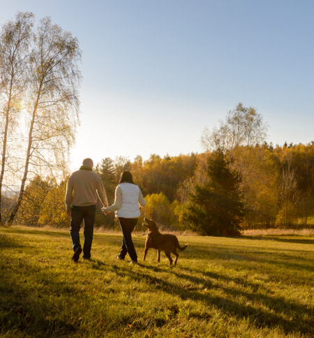 a couple walking their dog